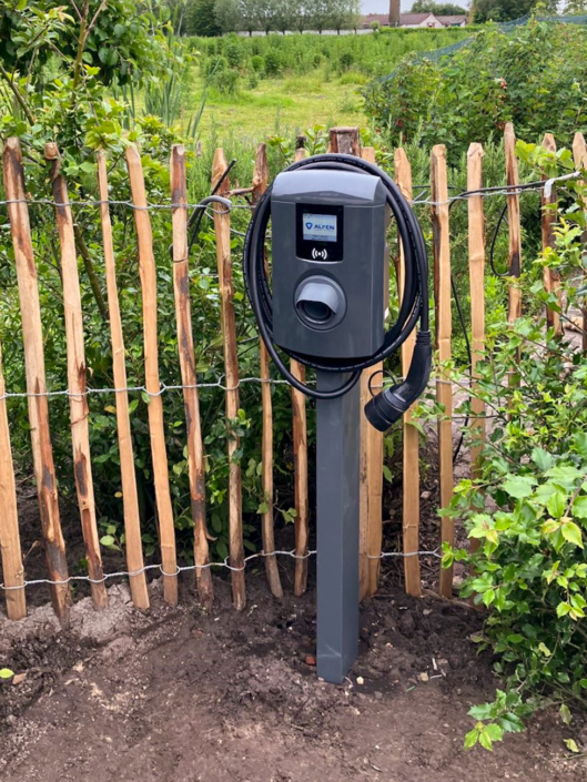 Thuis geïnstalleerde Alfen laadpaal op paal in een tuin in regio Eeklo, perfect geïntegreerd tussen het groen